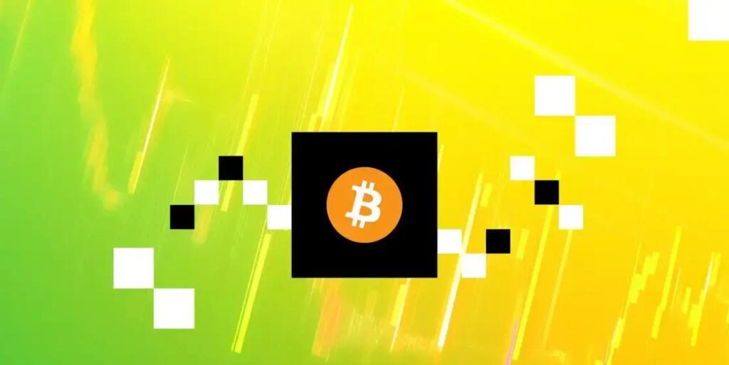 10 Dicas de Educação Financeira em Bitcoin que Podem Transformar Sua Vida