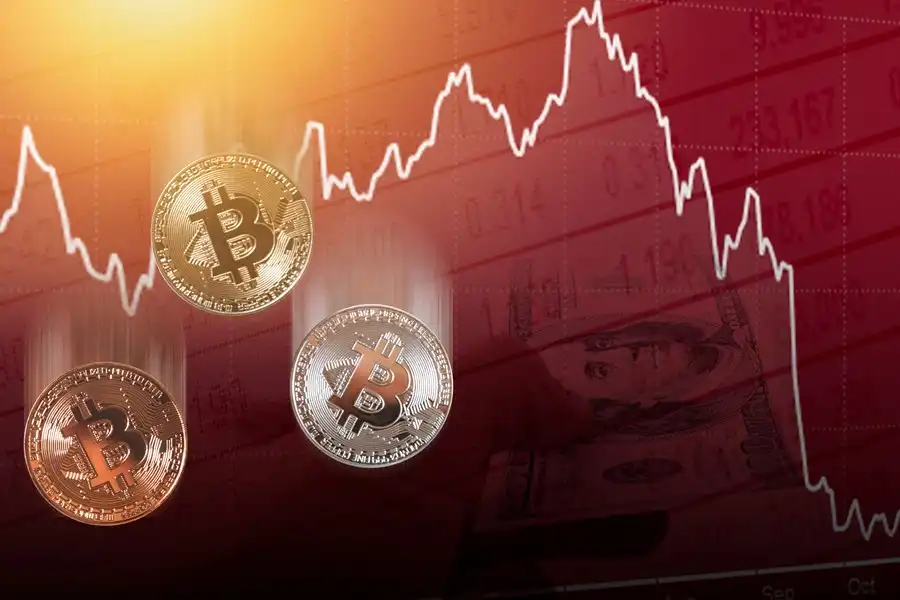 Como o Mercado de Digital Asset Treasuries Está Evoluindo