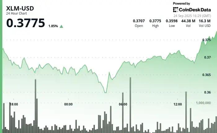 Como o XLM Superou Volatilidade: 5 Fatos CHOCANTES!