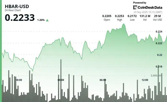 HBAR Preço: A Última Semanan de Volatilidade e Oportunidades