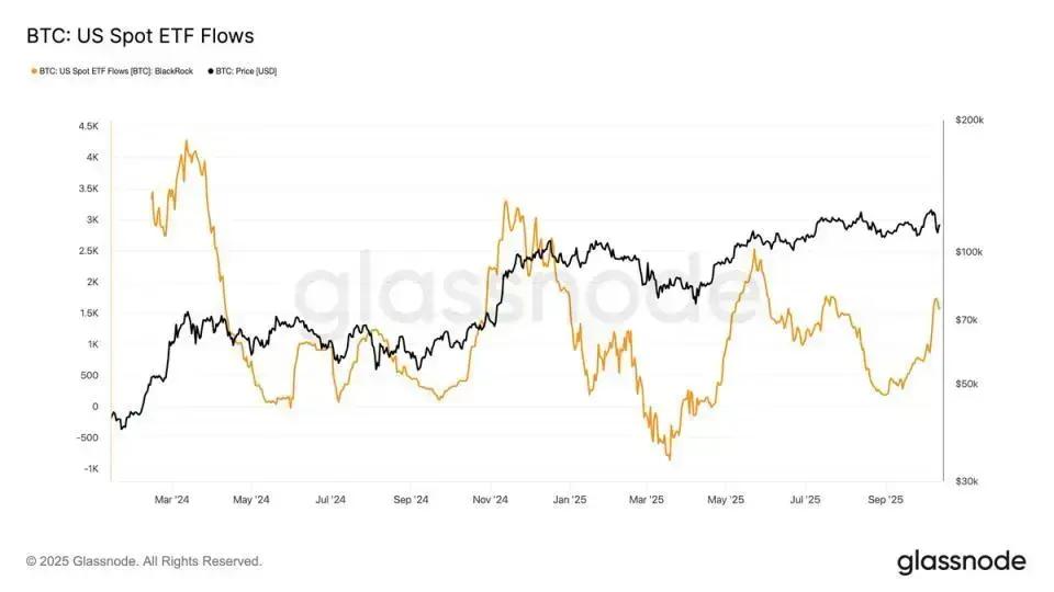 IBIT Capital: Atraindo Investimentos Mesmo em Queda!